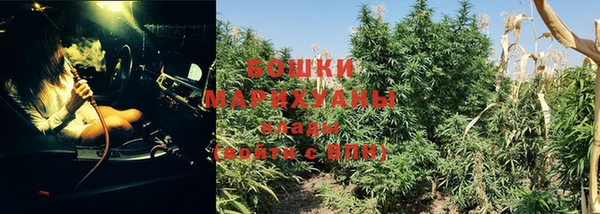 каннабис Магадан