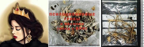 наркотики Магас