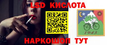 индика Аргун