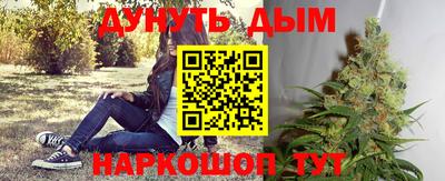 индика Аргун