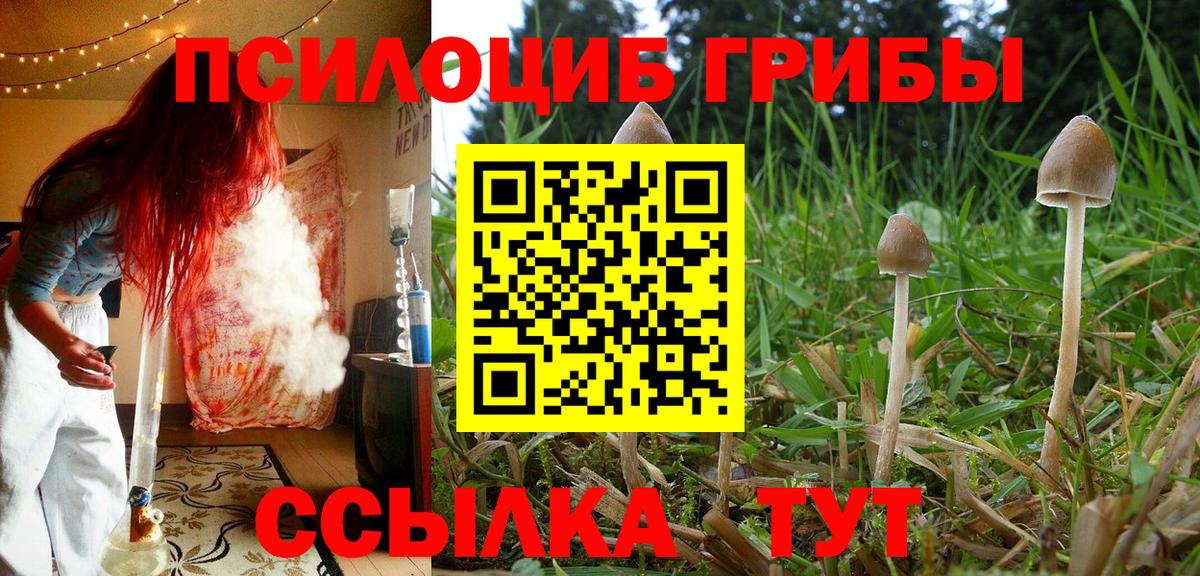 Галлюциногенные грибы прущие грибы  Псилоцибиновые грибы MAGIC MUSHROOMS  Астрахань 