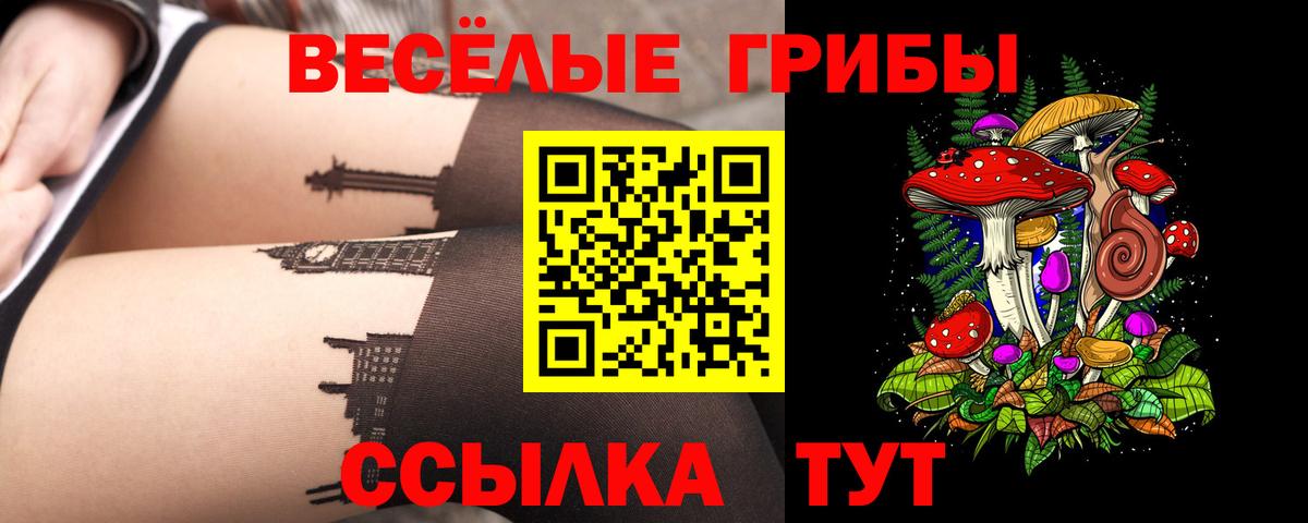Галлюциногенные грибы Magic Shrooms  Псилоцибиновые грибы прущие грибы  Вход с VPN  Астрахань 