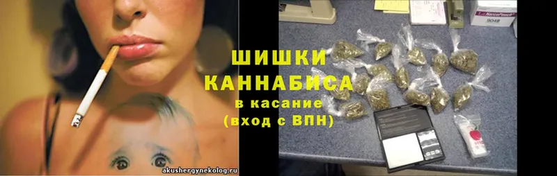 mega зеркало  сколько стоит  Астрахань  Бошки марихуана OG Kush 